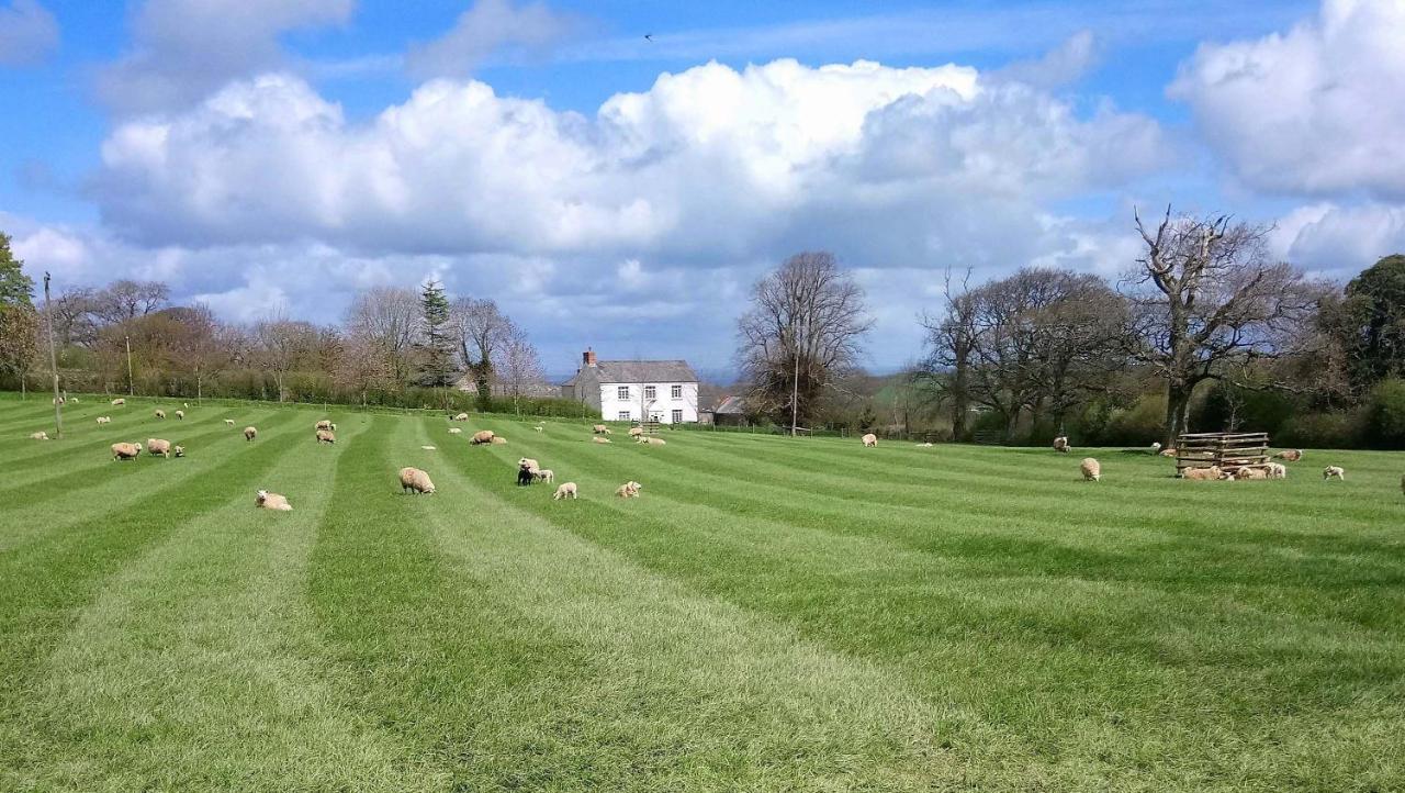 Lovaton Farmhouse 欧克汉普敦 外观 照片