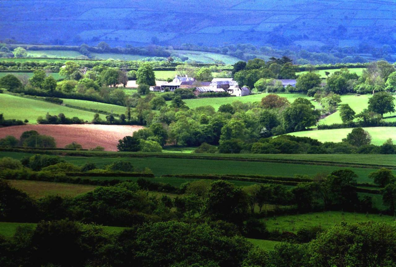 Lovaton Farmhouse 欧克汉普敦 外观 照片