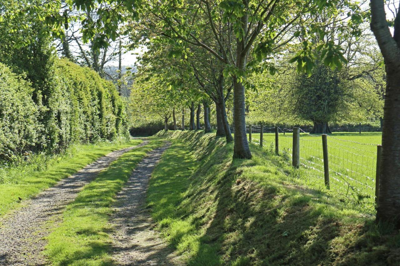 Lovaton Farmhouse 欧克汉普敦 外观 照片